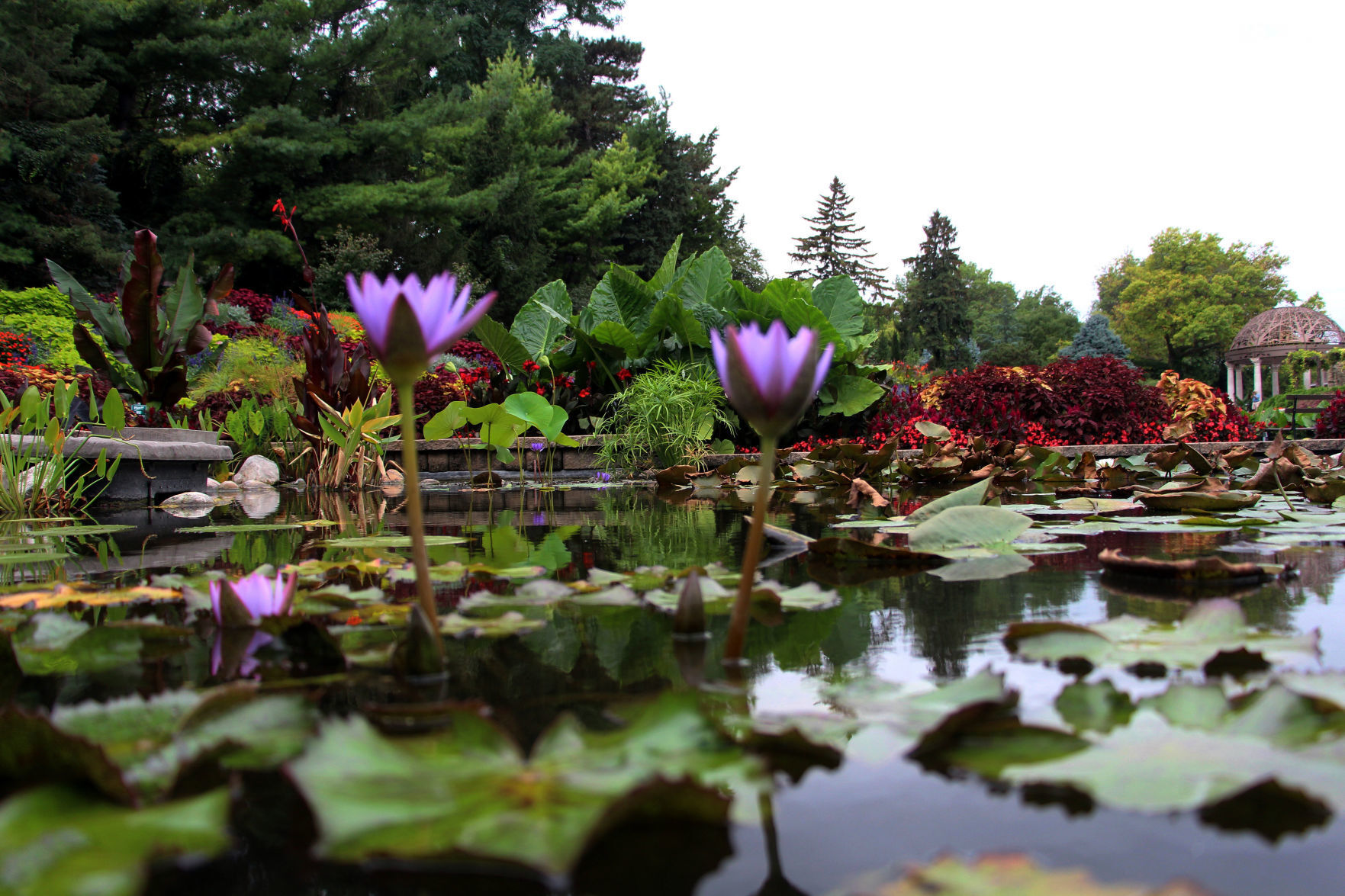 Sunken Gardens 2015